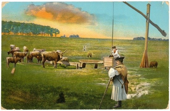 Hortobagy, Leben auf der Haide