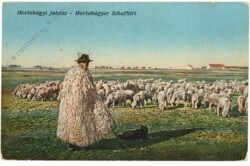 ak220248 Hortobagy, Schafhirte