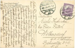 Hortobagy, Schweineherde