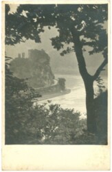 Grein an der Donau, Donauinsel Wörth mit Ruine Werfenstein