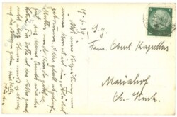 Grein an der Donau, Donauinsel Wörth mit Ruine Werfenstein