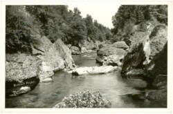 Erlauf, bei Purgstall, Ansicht