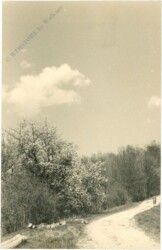 Feldweg