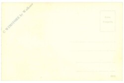 ak220335a Großer Baum