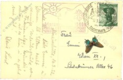 ak220369a Murau, Murauer Hütte, Frauenalpe