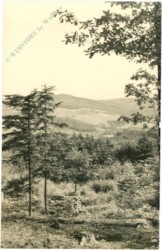 Murau, Murauer Hütte