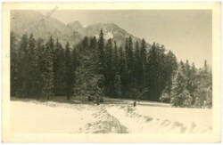 Verschneiter Weg