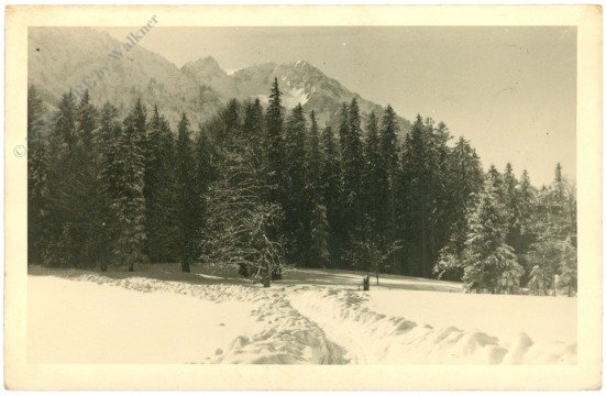 Verschneiter Weg