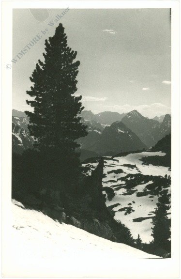 Verschneite Berge