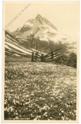 St. Anton am Arlberg, Patteriol