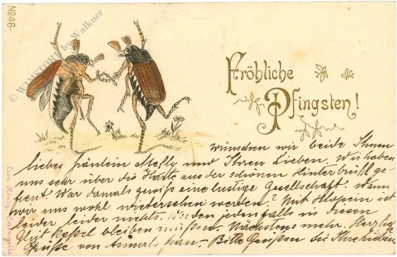 ak220495 Tanzende Käfer