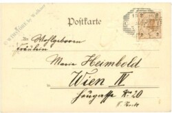 ak220495a Tanzende Käfer