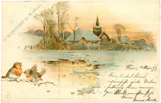 Vögel im Winter