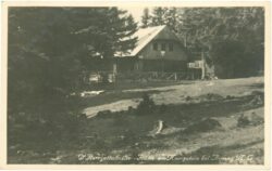 ak220538