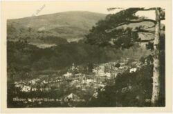 ak220560