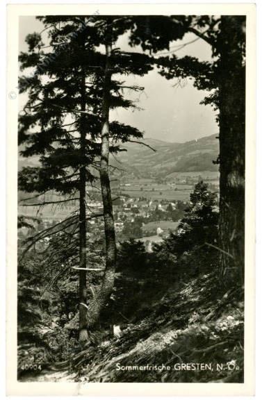ak220724