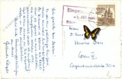 ak220725a