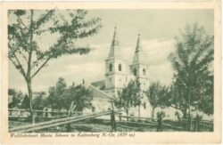 ak220832