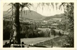 ak220854