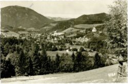 ak220856