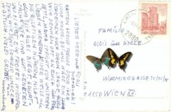 ak220856a