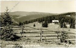 ak220889