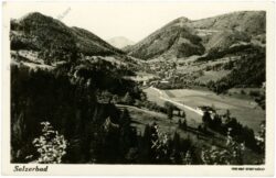 ak220903