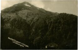 ak220952