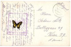 ak220965a