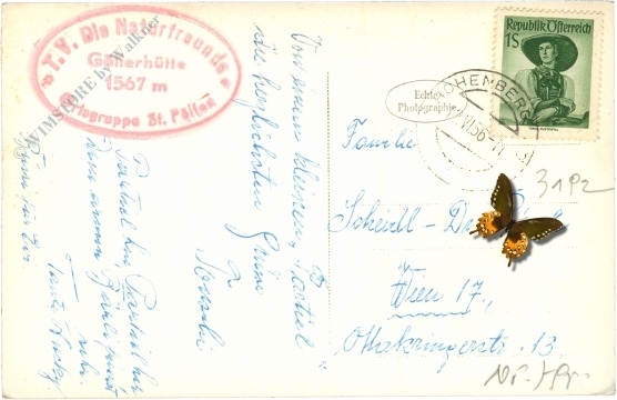 ak220975a