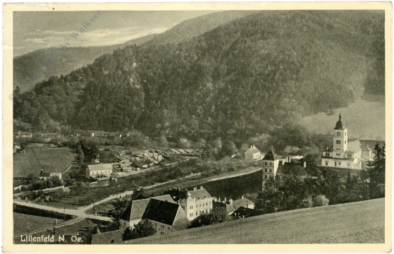 ak220983