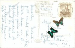 maria raisenmarkt, ortsansicht