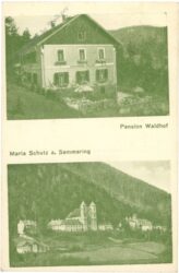 maria schutz, pension waldhof
