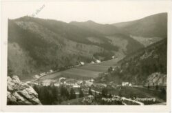muggendorf, mit schneeberg