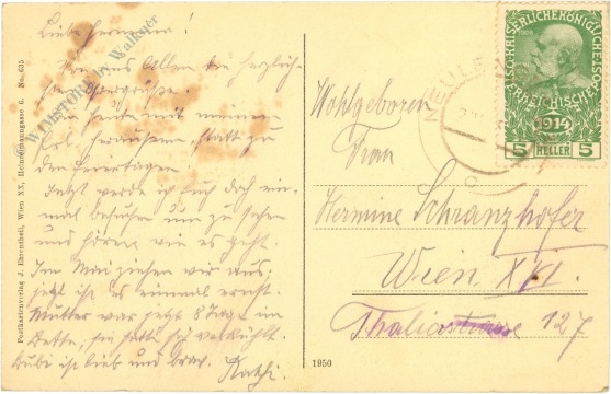 neulengbach, ortsansicht