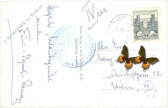 Ötscher, Ötschergipfel, blick nach westen