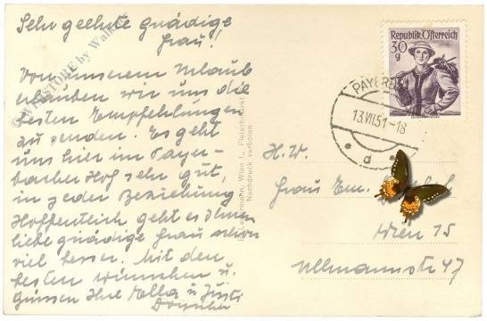 payerbach, gegen rax