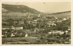 piesting (markt), ortsansicht
