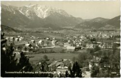 puchberg am schneeberg, ortsansicht