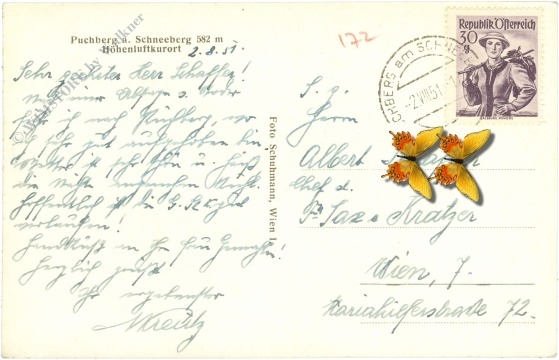 puchberg am schneeberg, ortsansicht