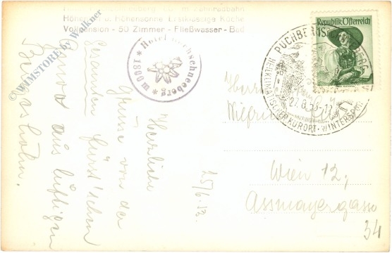 puchberg am schneeberg, ansicht