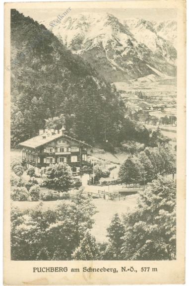 puchberg am schneeberg, ansicht puchberg am schneeberg, ansicht