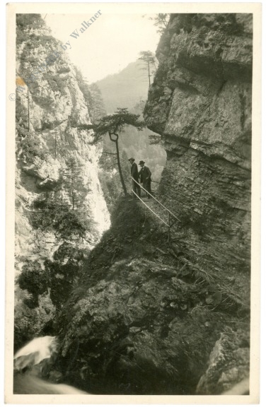 puchenstuben, beim trefflingfall