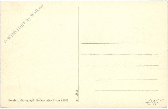rabenstein an der pielach, ortsansicht