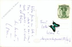 rabenstein an der pielach, ortsansicht