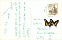 ramsau bei hainfeld, urlaubsheim annental