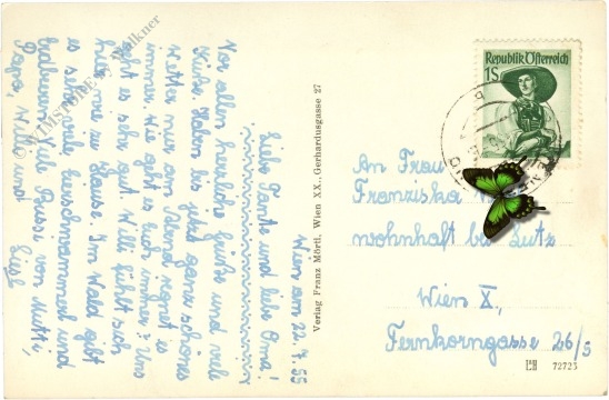 rastenfeld, kircheninneres