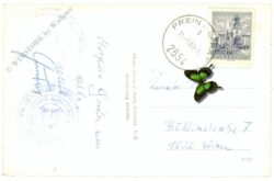 rax, preinerwandkreuz