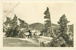 rax, wintermotiv bei der bergstation d. raxseilbahn