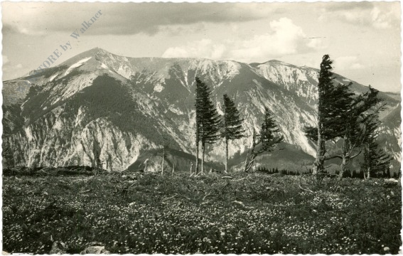 rax, blick zum schneeberg